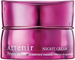 attenir Prima Moist Night Cream (special container) Case only