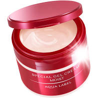 Shiseido Aqua Label Special Gel Cream Moist N